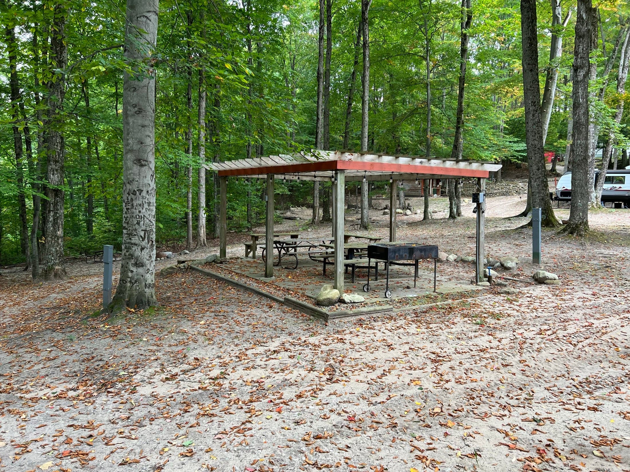 Covered pavilion and picnic tables under trees at Cadillac Woods